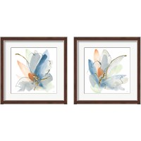 Framed Color Spray 2 Piece Framed Art Print Set