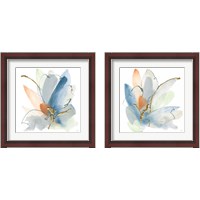 Framed Color Spray 2 Piece Framed Art Print Set