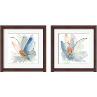 Framed Color Spray 2 Piece Framed Art Print Set