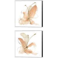 Framed Butterfly Flower 2 Piece Canvas Print Set