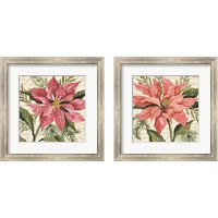 Framed 'Poinsettia Botanical 2 Piece Framed Art Print Set' border=