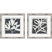 Framed 'Growing Gray 2 Piece Framed Art Print Set' border=