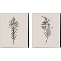 Framed Harvest Classics on Cream 2 Piece Canvas Print Set