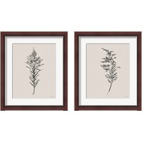 Framed Harvest Classics on Cream 2 Piece Framed Art Print Set