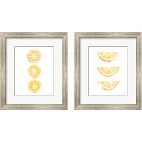 Framed 'Lemon Slices 2 Piece Framed Art Print Set' border=