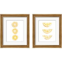 Framed Lemon Slices 2 Piece Framed Art Print Set