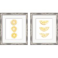 Framed Lemon Slices 2 Piece Framed Art Print Set