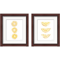 Framed Lemon Slices 2 Piece Framed Art Print Set