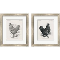 Framed 'Vintage Farm Life 2 Piece Framed Art Print Set' border=