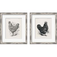 Framed 'Vintage Farm Life 2 Piece Framed Art Print Set' border=