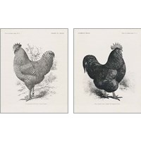 Framed Vintage Farm Life 2 Piece Art Print Set