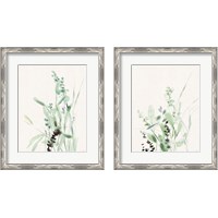 Framed 'Grasses  2 Piece Framed Art Print Set' border=