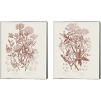 Framed 'Flowering Plants 2 Piece Canvas Print Set' border=