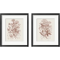 Framed 'Flowering Plants 2 Piece Framed Art Print Set' border=