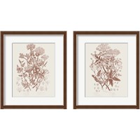 Framed 'Flowering Plants 2 Piece Framed Art Print Set' border=