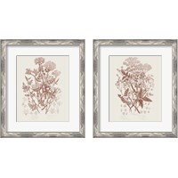 Framed 'Flowering Plants 2 Piece Framed Art Print Set' border=