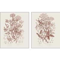 Framed Flowering Plants 2 Piece Art Print Set