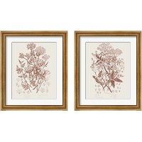 Framed Flowering Plants 2 Piece Framed Art Print Set