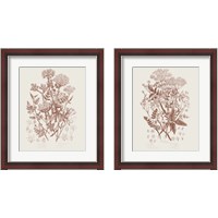 Framed Flowering Plants 2 Piece Framed Art Print Set