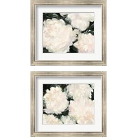 Framed 'Blushing Summer 2 Piece Framed Art Print Set' border=