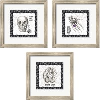 Framed 'Arsenic and Anatomy 3 Piece Framed Art Print Set' border=