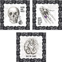 Framed 'Arsenic and Anatomy 3 Piece Art Print Set' border=