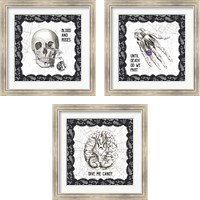 Framed Arsenic and Anatomy 3 Piece Framed Art Print Set