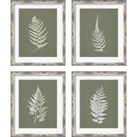 Framed 'True Green 4 Piece Framed Art Print Set' border=
